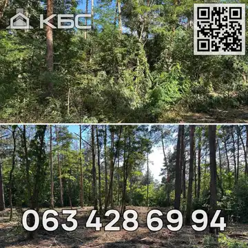 Оренда мульчера в Бучанському р-ні